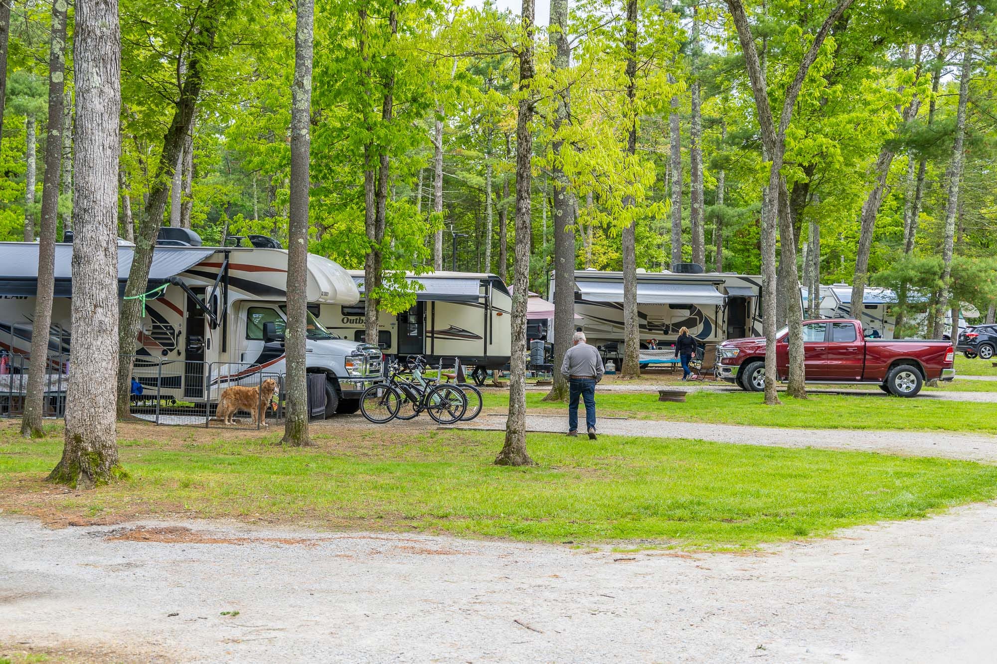 campers at Pine Lake