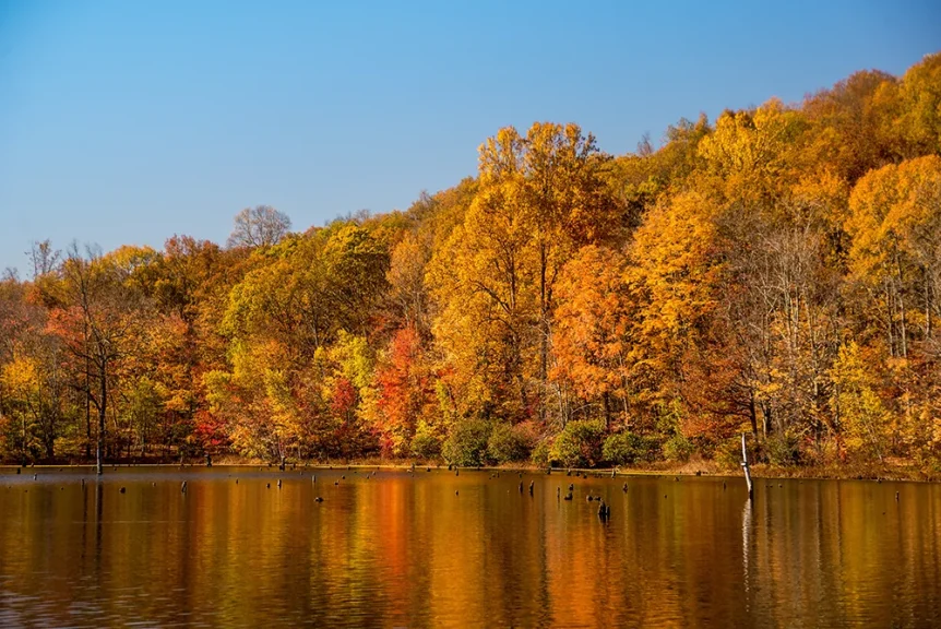 New England's fall foliage