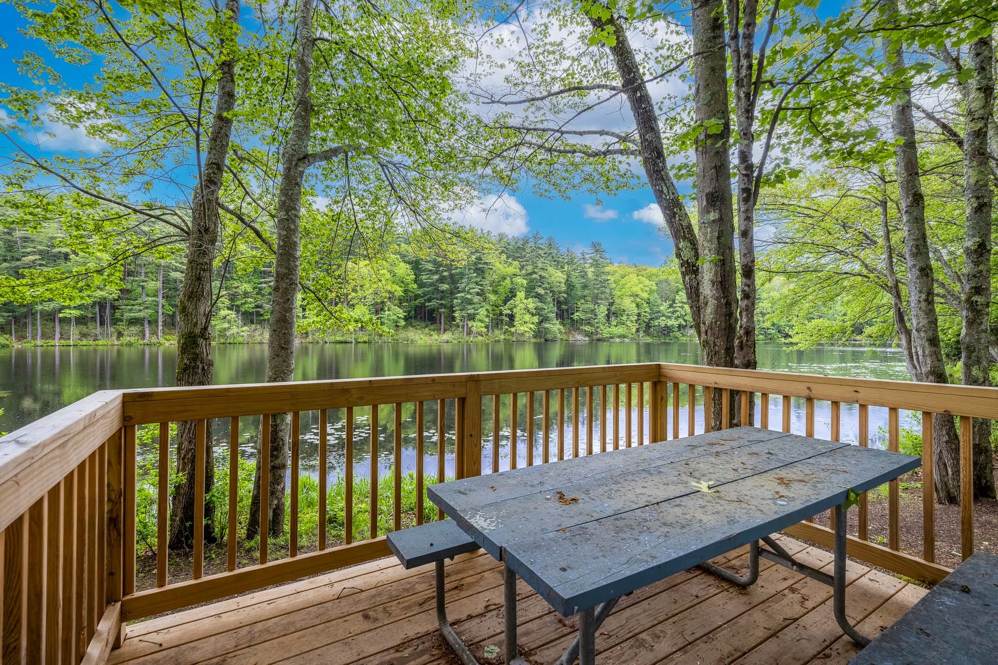 View from Two Bedroom Cottage
